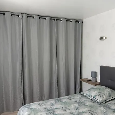 A 1km Des Plages Avec 2 Velos Elec * רויאן