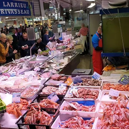 Apartman A 1km Des Plages Avec 2 Velos Elec